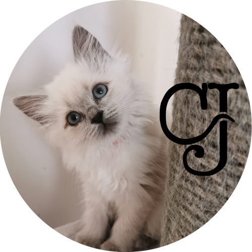 www.catjeannie.com